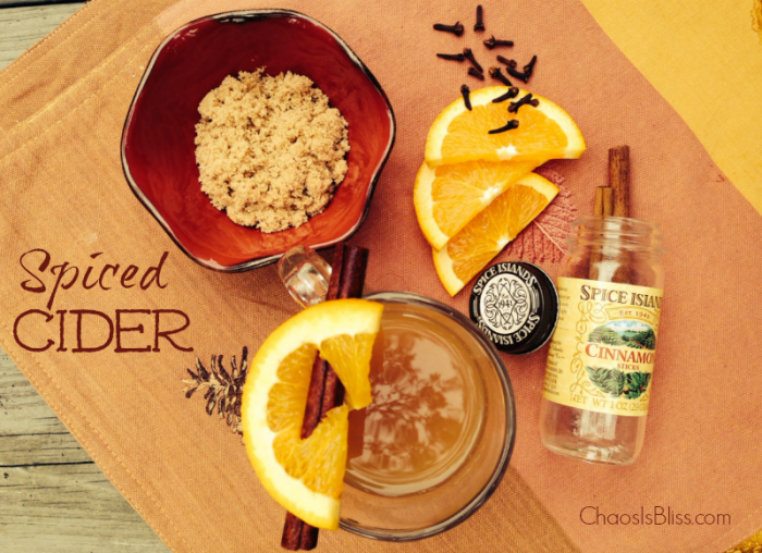 An easy slow cooker Spiced Cider recipe to add to your Fall drink recipes!