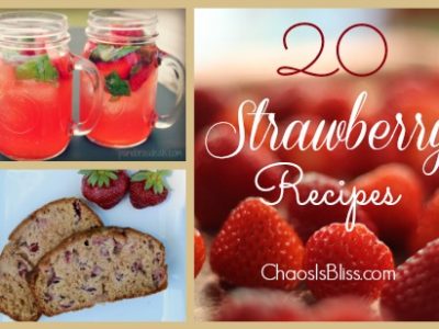 When fresh strawberries are on sale or freshly picked, what are some ways to use them? Here are 20 Strawberry recipes including breads, jams, and desserts.