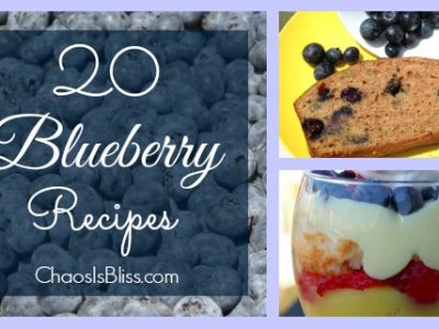 20 Blueberry Recipes