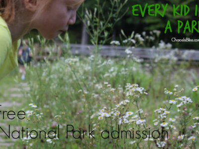 Free family travel when you visit a National Park, with the new Every Kid in a Park initiative from President Obama.