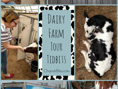 Where does milk come from? Take a dairy farm tour and learn more about dairy, and the technology behind dairy farms.