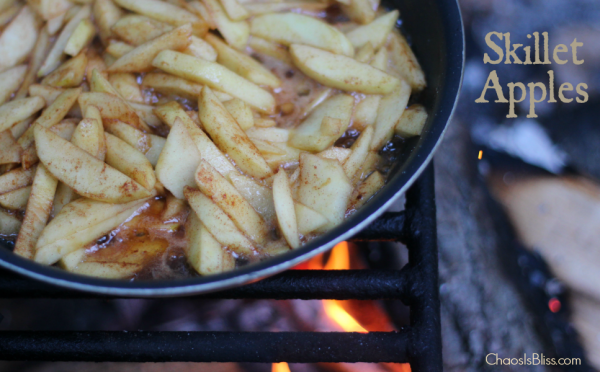 The easy camping recipe you can't leave home without! Campfire Skillet Apples, an apple recipe you can make on the stove or over a fire.