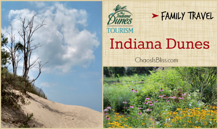 The best family travel spot in the Midwest for beaches, hiking and family fun is Indiana Dunes.