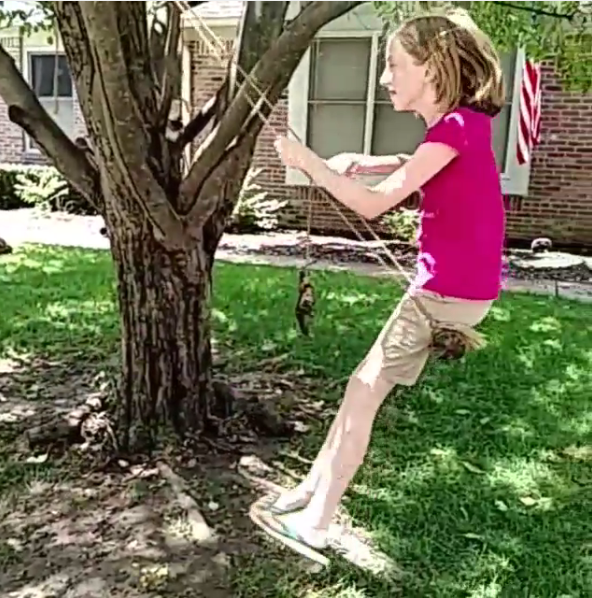 Make a tree swing with a log and rope