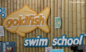 Goldfish Swim School