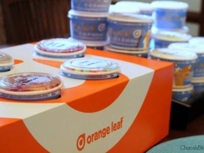 Just when you thought frozen yogurt couldn't get any better, Orange Leaf busted that myth with these new flavors and concept.