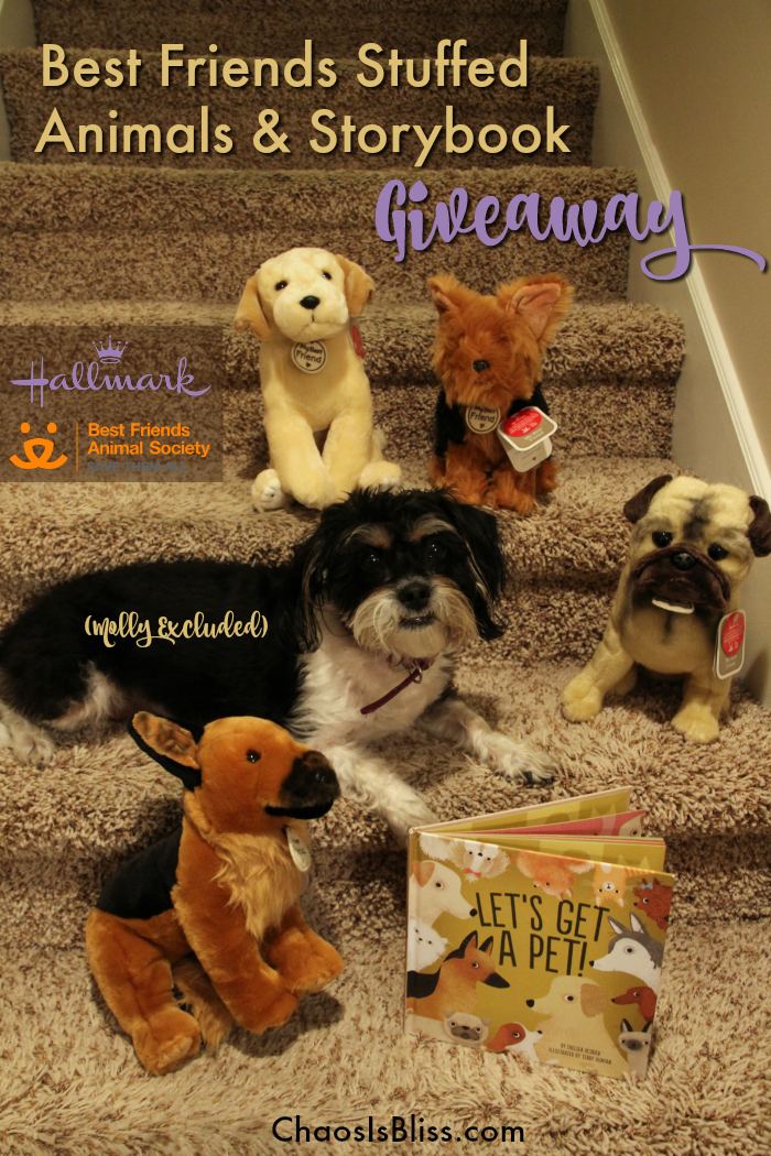 Hallmark and Best Friends Animal Society Stuffed Animals & Storybook Giveaway