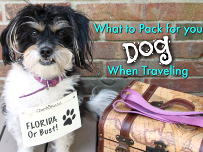 When you head on your next vacation, check these tips on what to pack for your dog when traveling.