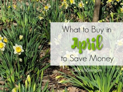 Spring has sprung! Take a look at what to buy in April, and what purchases you should avoid in April, in order to spend less around the house!