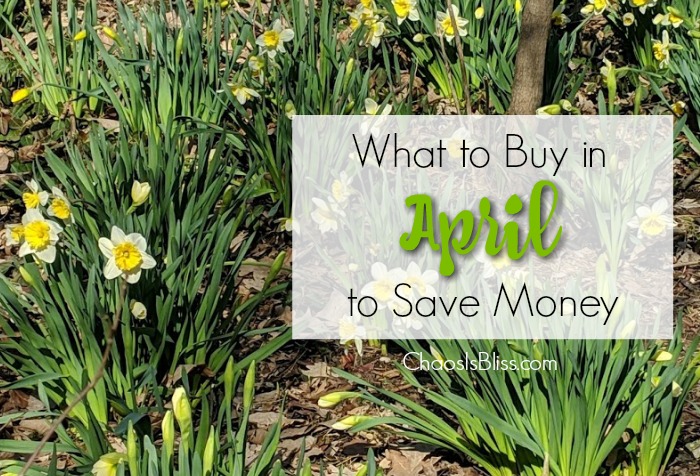 Spring has sprung! Take a look at what to buy in April, and what purchases you should avoid in April, in order to spend less around the house!