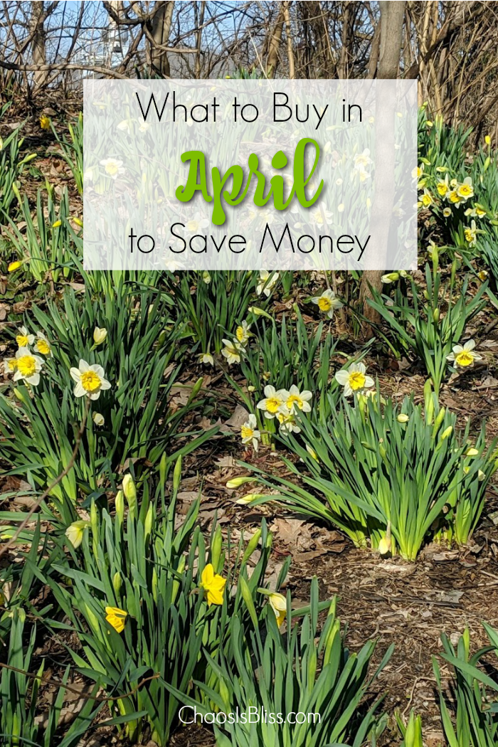 Spring has sprung! Take a look at what to buy in April, and what purchases you should avoid in April, in order to spend less around the house!