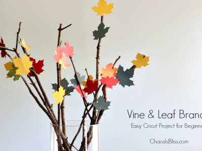 If you have a brand new Cricut and you're looking for an easy Cricut project for beginners, this Leaf & Branch Vase is the perfect craft!