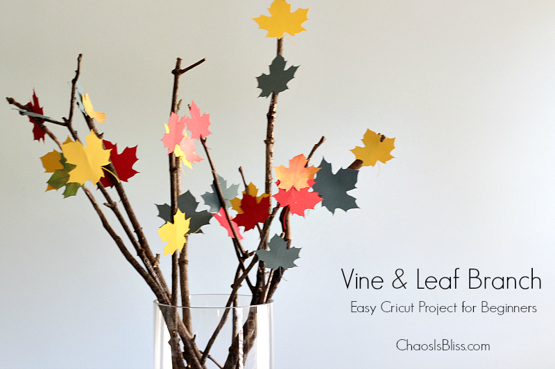 If you have a brand new Cricut and you're looking for an easy Cricut project for beginners, this Leaf & Branch Vase is the perfect craft!